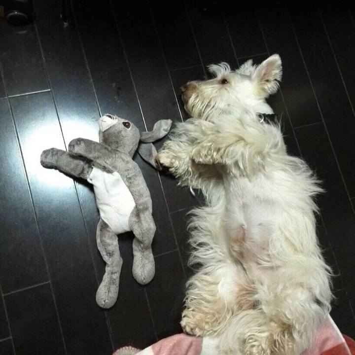 97d23914 0c0f 4bbc 953e 16585dbcc618