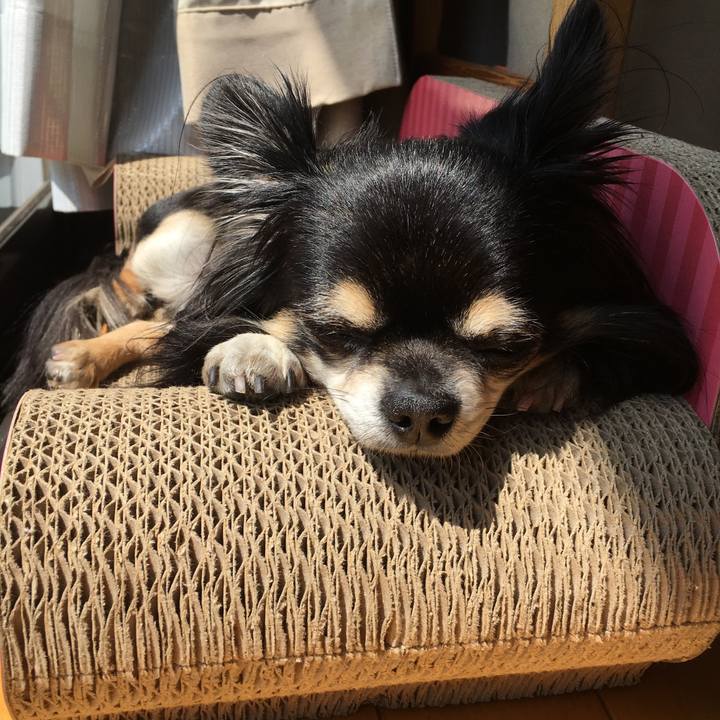 97d28d85 bc87 4bd5 8dc6 3ddef3e2ad94