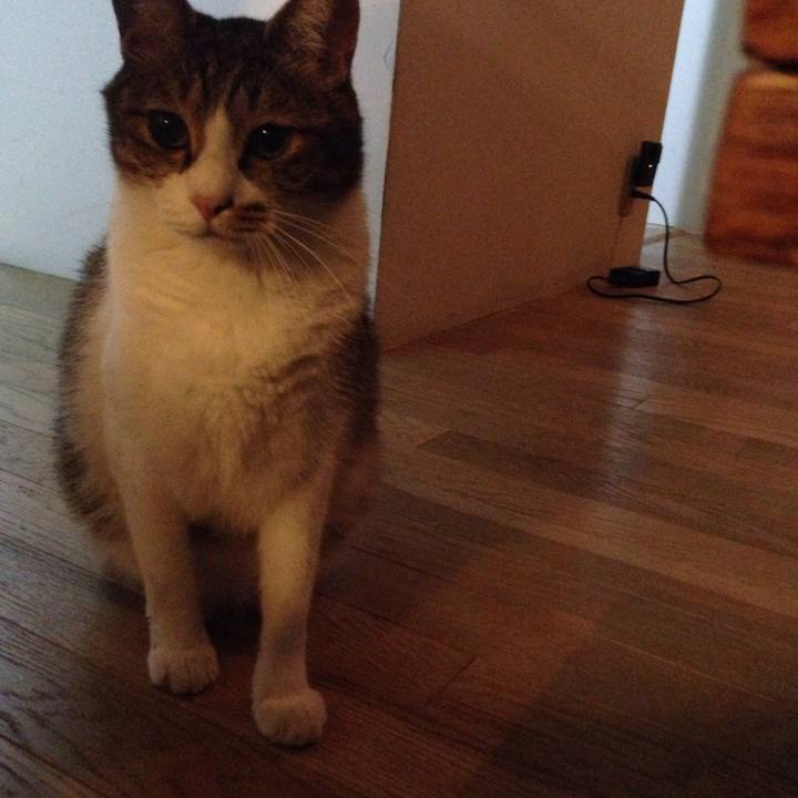 97d2d58f 17e6 48c3 9c61 81af42937599