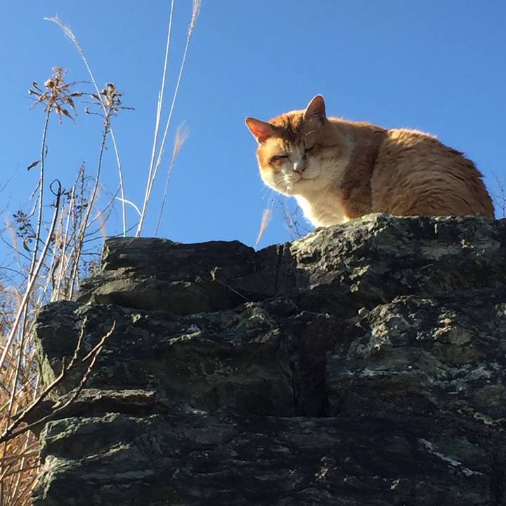 97d2f217 7c7a 4fd7 ab69 039a5aa83cb2