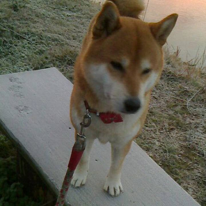 97d3950c 11a1 42f7 9996 1660b773f22c