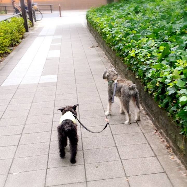 97d402e4 11b0 42d1 98d0 e5adf4fc6226