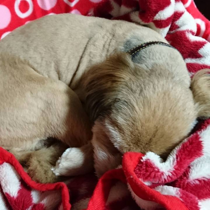 97d439da 8b4b 488f b009 f9b3b02193b3