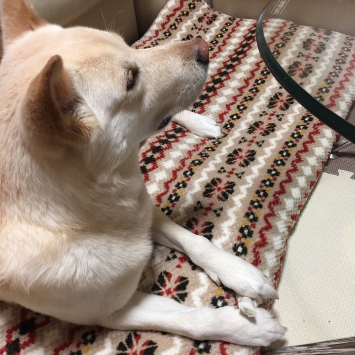 97d44c46 61b9 4296 81ef b73189c439a7