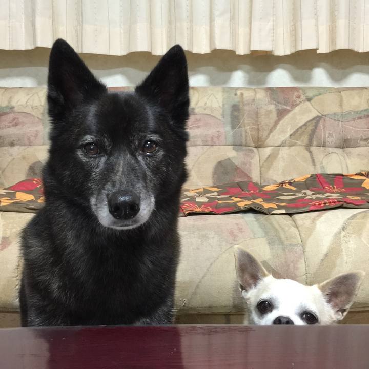 97d4b568 fe7c 4736 a6ac ad961881b3c7