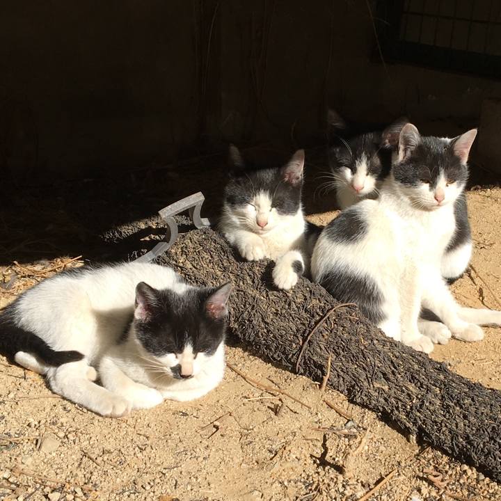 97d50ea0 d81e 4f28 9692 51f2f0e59ebd