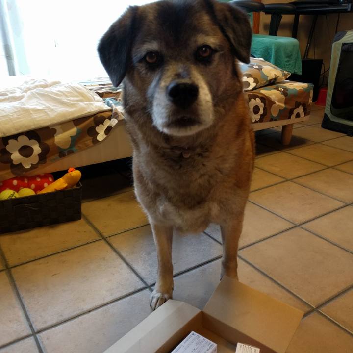 97d53d4f b5d1 4ced b09a 9addd9712653