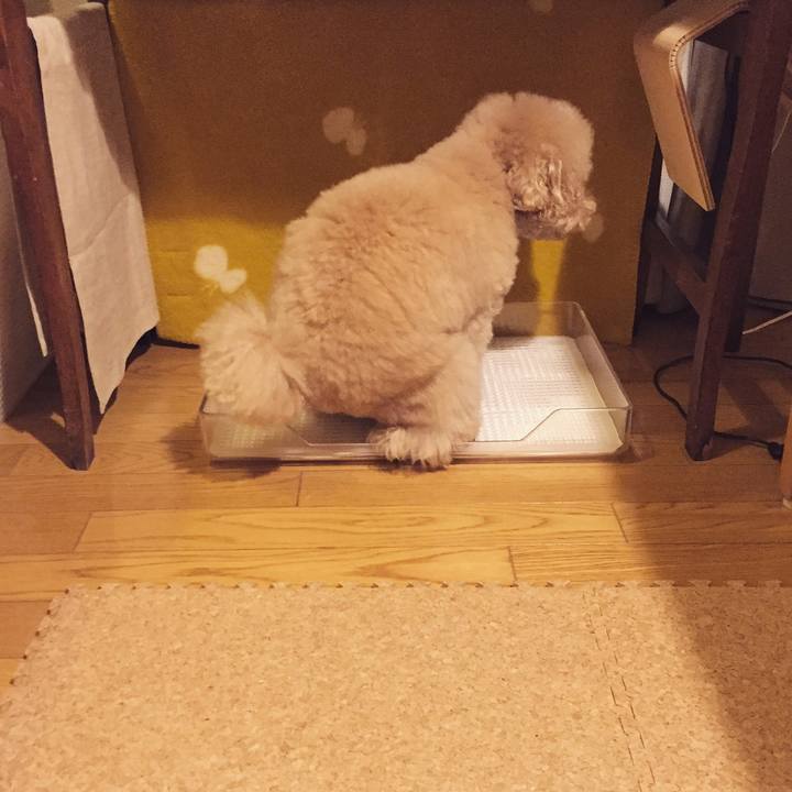 97d5552c 87f9 481c 851e 6bc24de07f8a