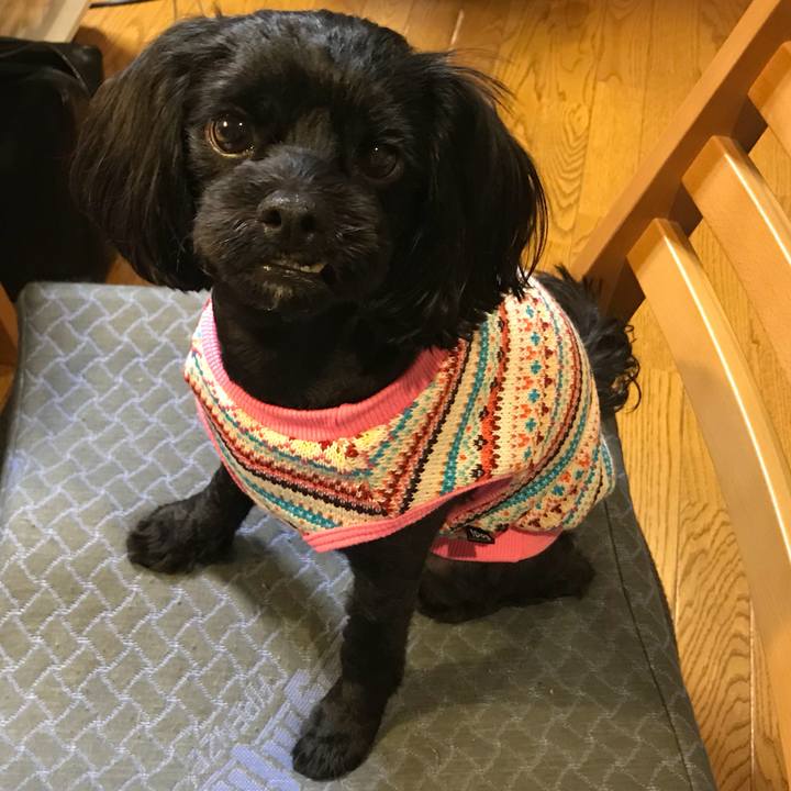 97d55f86 82e2 4398 930a 369745eea6e3