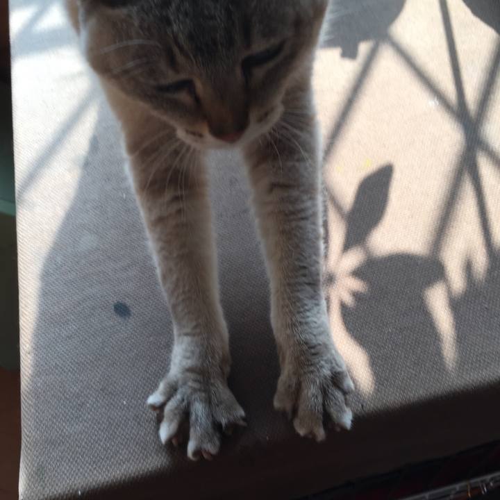 97d6aca4 6ba5 46be 9749 dd1ef6d1fc61