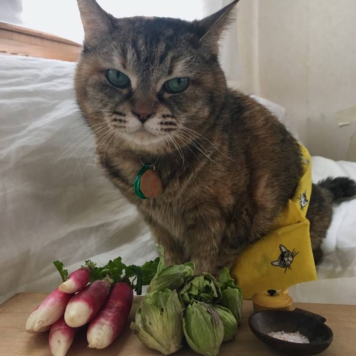 97d7ce9d 8e92 4bb7 9729 3cda126ea9c4