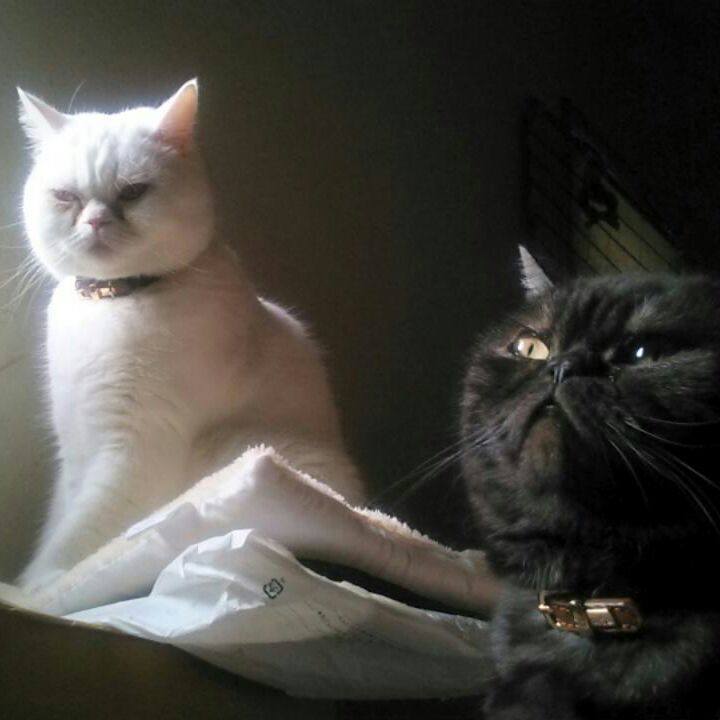 97d7e87d 8ab9 4805 bcbd 2612367cec1f