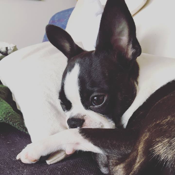 97d8eb02 7432 47a4 ba40 ba7131e857b7