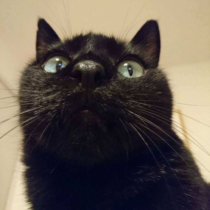 97d99c78 7901 4f0f a31e bc9295e34b6f