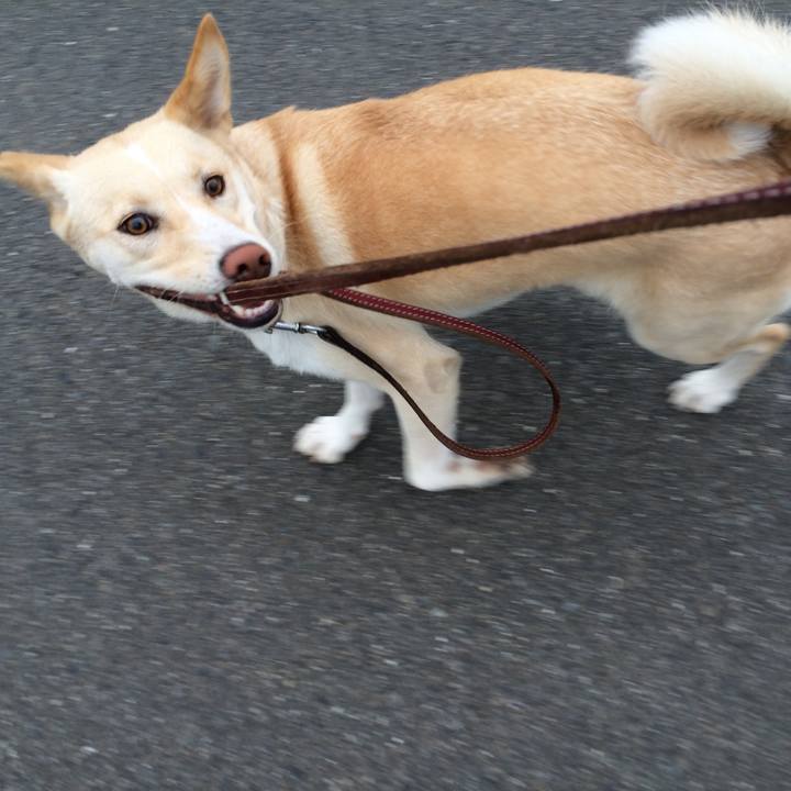 97d9e8aa c457 4d09 90c8 549a49a93064