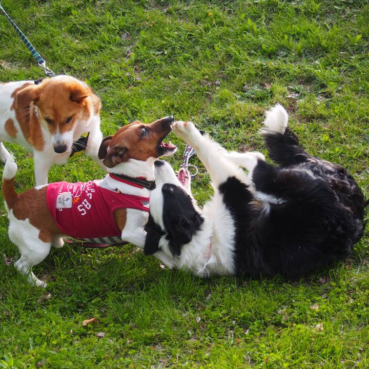 97da99bb bdd7 4cdd b57c c761421cea27