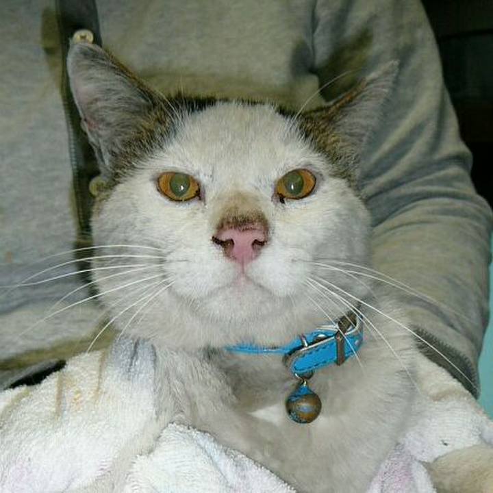 97daa4c6 347e 46ad 9a4d d222a9c669f1