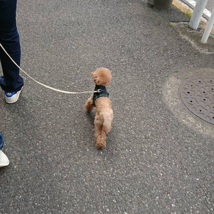 97dc03e8 6c9f 4d19 ad05 c150ff676055