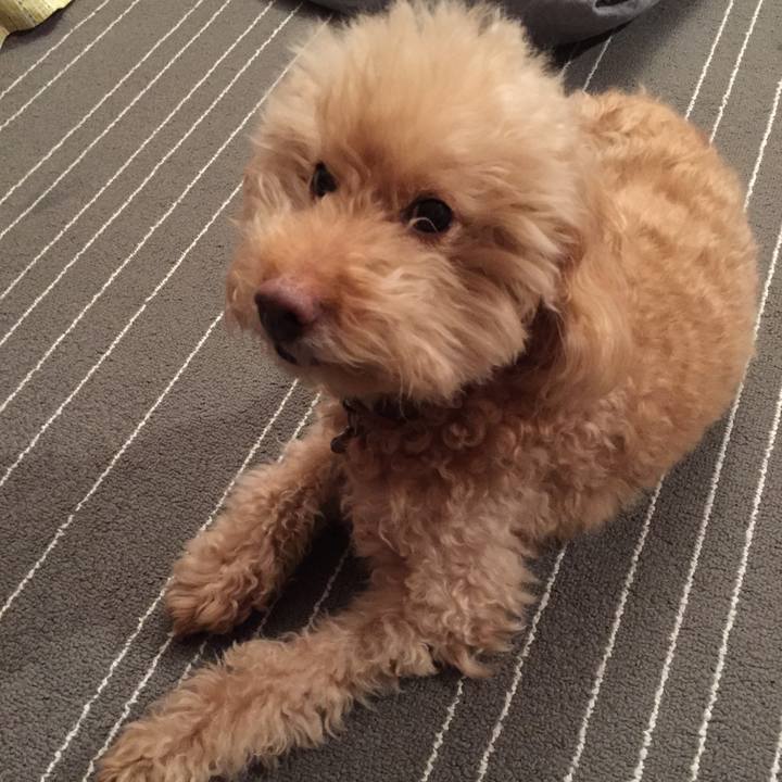 97dc20c2 cc28 4279 ab45 1e41467a2ba2