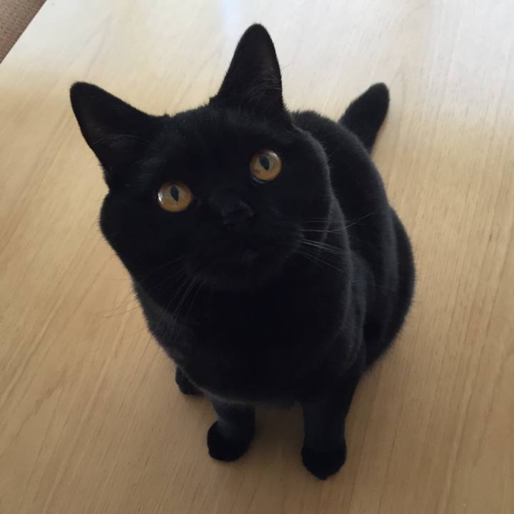 97dd0f7b a20e 4a09 86cd 23e48c5c3553