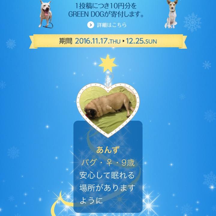 97dd6809 6a3a 4e2e a1cd 5a55939faedf