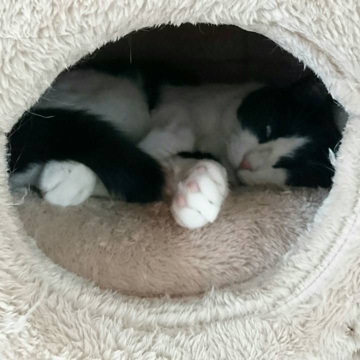 97dd7723 4131 4aa7 a038 8f3abc79695d