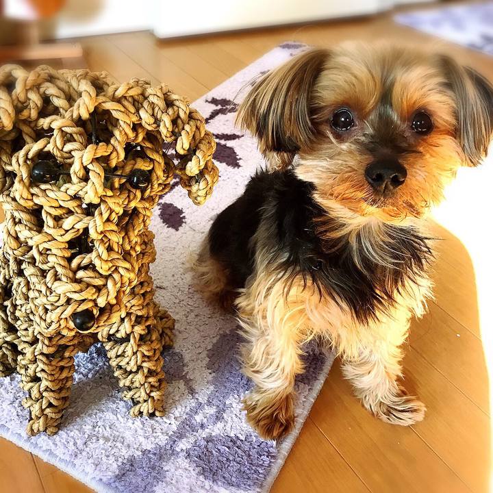 97dde532 4149 4262 bc45 82d5749c8b63