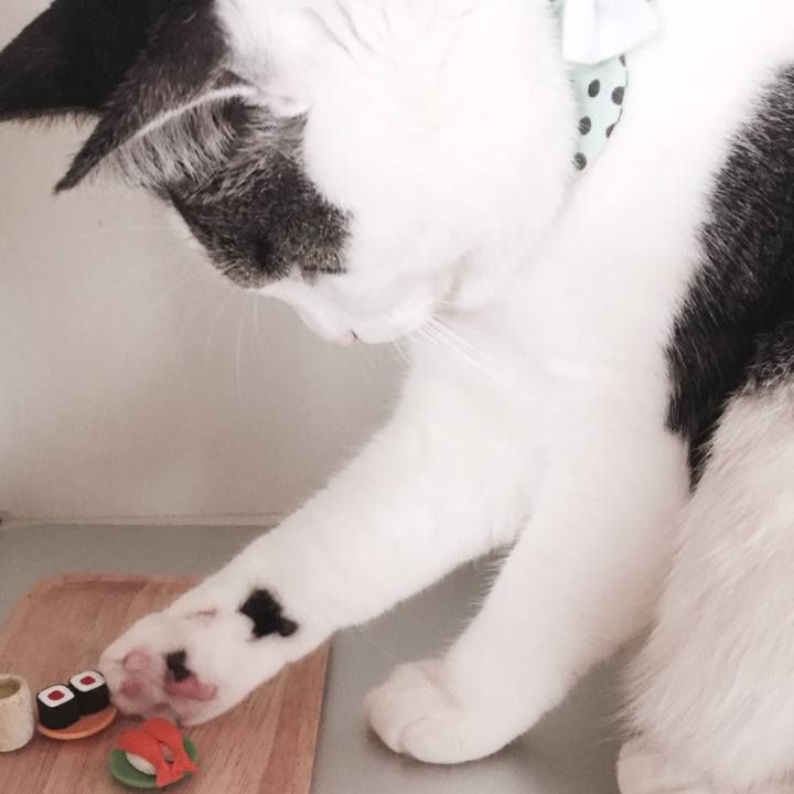 97de73dd 31a2 49ae b101 2de632742865