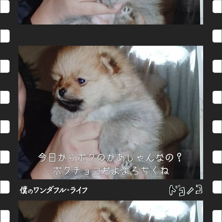 97deea67 1b2e 470a 8d59 11ea24a9fd2e