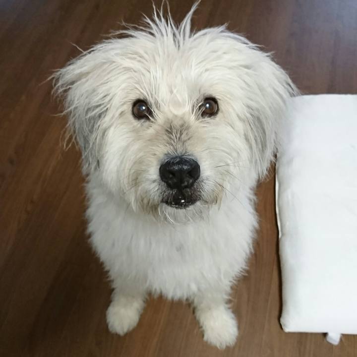 97df2504 7695 4342 bda8 36baa39e728e