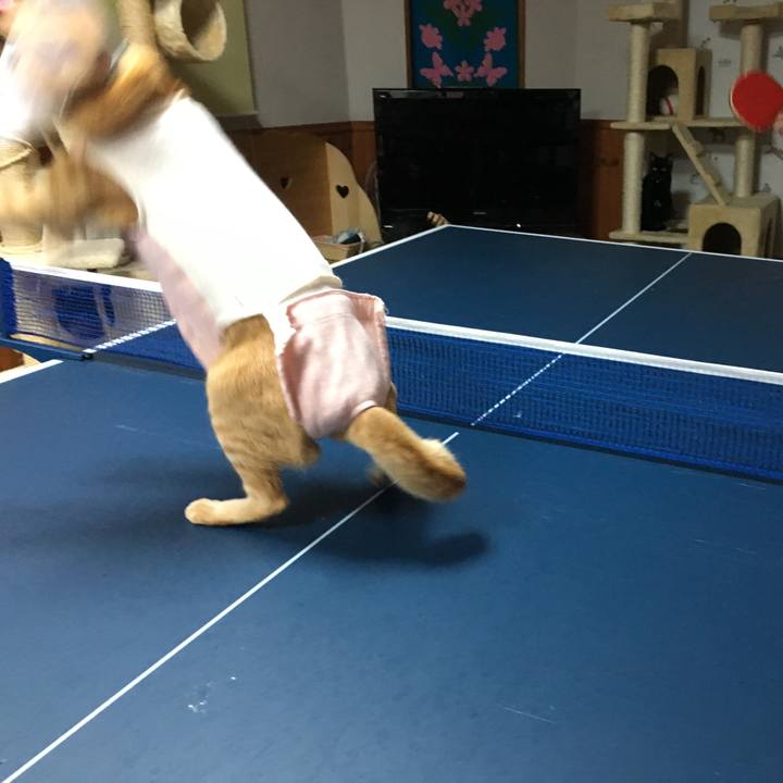 97dfe88d 9b33 4739 8c9c 9b37811d1c7a