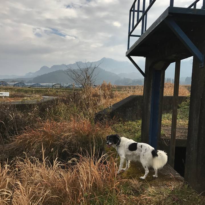 97e0e1a1 0a8e 4e27 a4d5 c3ecc96fd259