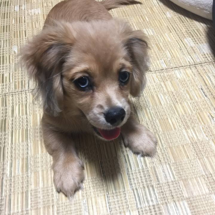 97e15ac5 5edf 4c29 90e7 473dbcd8a2a2