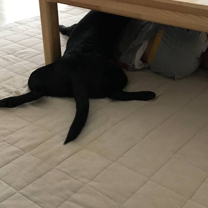 97e1710e 90e9 4e0f 8c6c 1c890a8b16a4