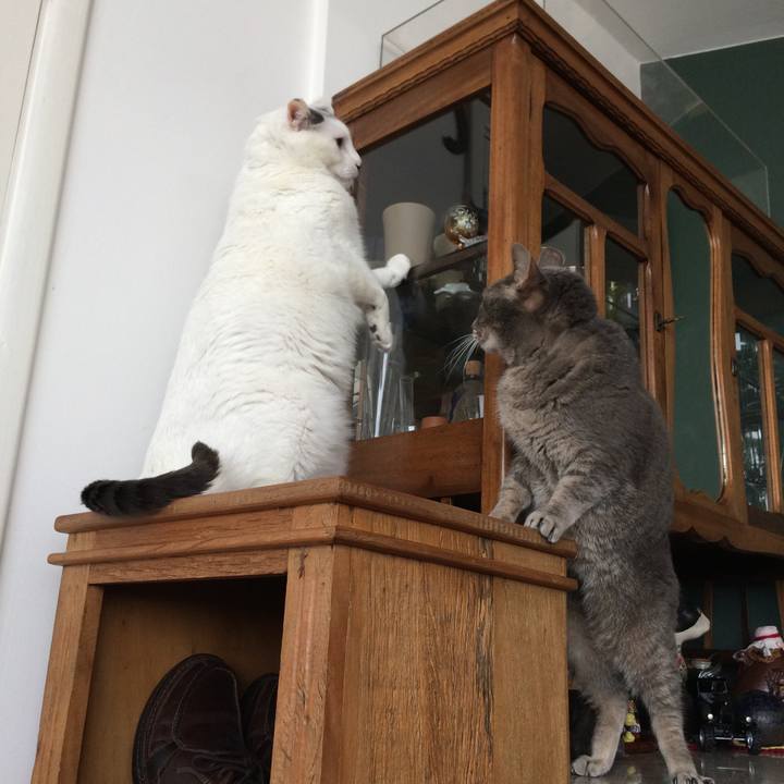 97e1b2a9 7fca 4ce6 bf8f 9b8c3b6b0540