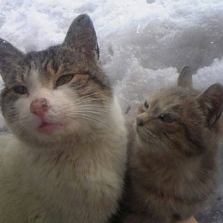 97e1e656 ff85 4dae b376 1125aa54f5d7