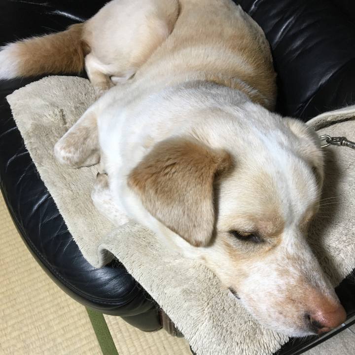 97e1ece7 aba9 47bd 80f4 313d27def7e4