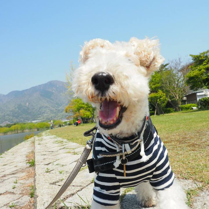 97e26175 34c4 4e19 832f 2f69ba5ffa6f