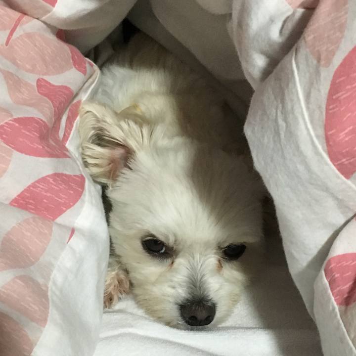 97e26ddf f225 4b6a bc59 0d4b6d636338