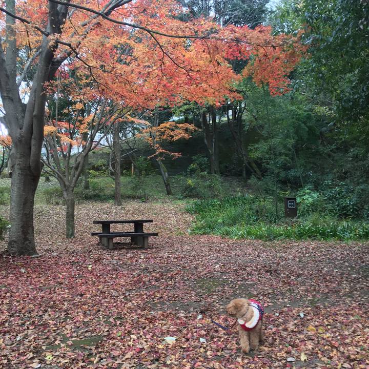 97e2c8f1 0cd9 4f3e 8097 aacfbb5aa8cc