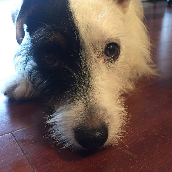 97e2f844 c32e 425e b950 9f5ae08a272a