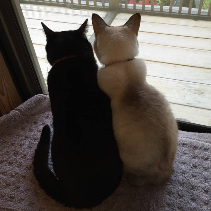 97e3fd7f 80f8 43c4 85ec 09e004a0fc47