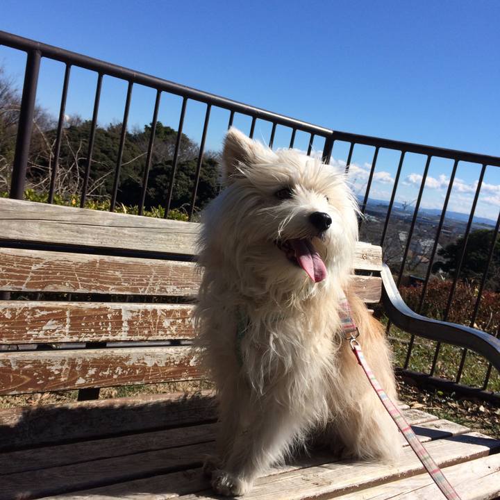 97e46a6b 8829 48d2 81c7 9ca5d3a42efb