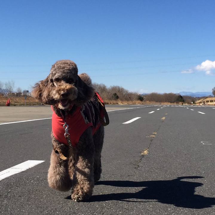 97e51cff a06f 4d4a b7e5 403f30efd06f