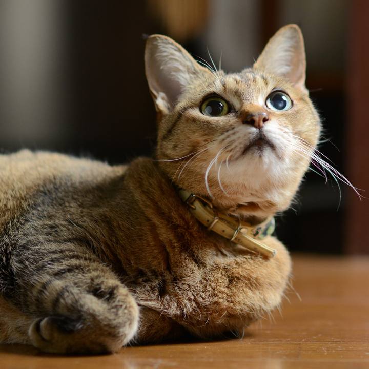 97e591dd f121 4a91 9af7 e5c438072780