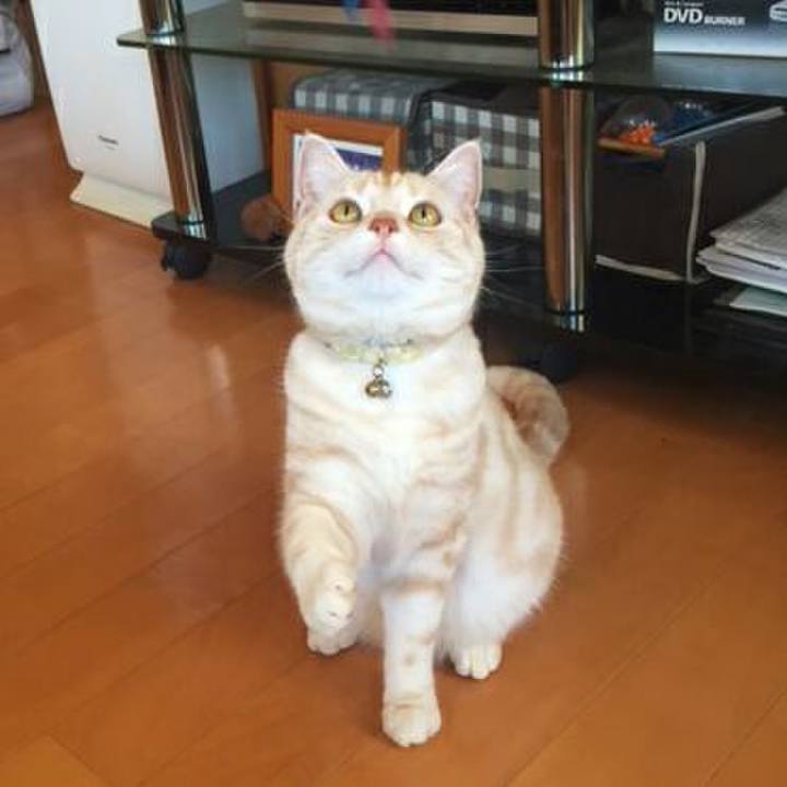 97e5f112 5079 4b93 af04 b634568909eb