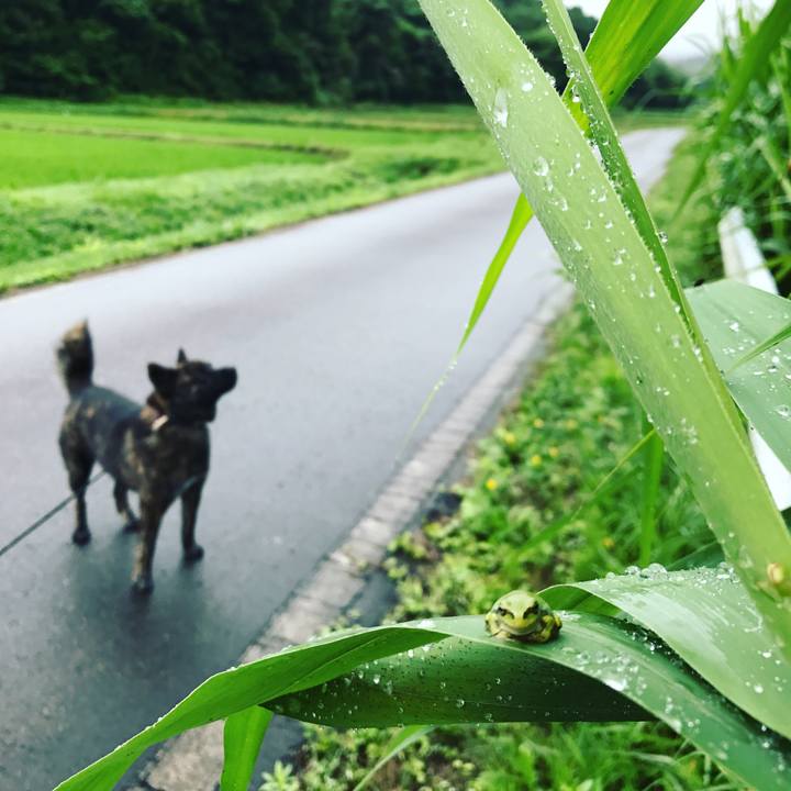 97e68e01 0f63 4f76 bbc7 4236167b19f4