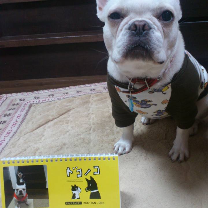 97e73b9c 1ffa 4264 8e76 cf6e831d638c