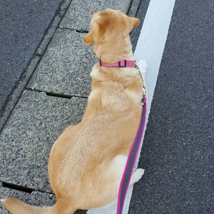 97e78b95 65e1 4d38 a4e8 51c812335ad1