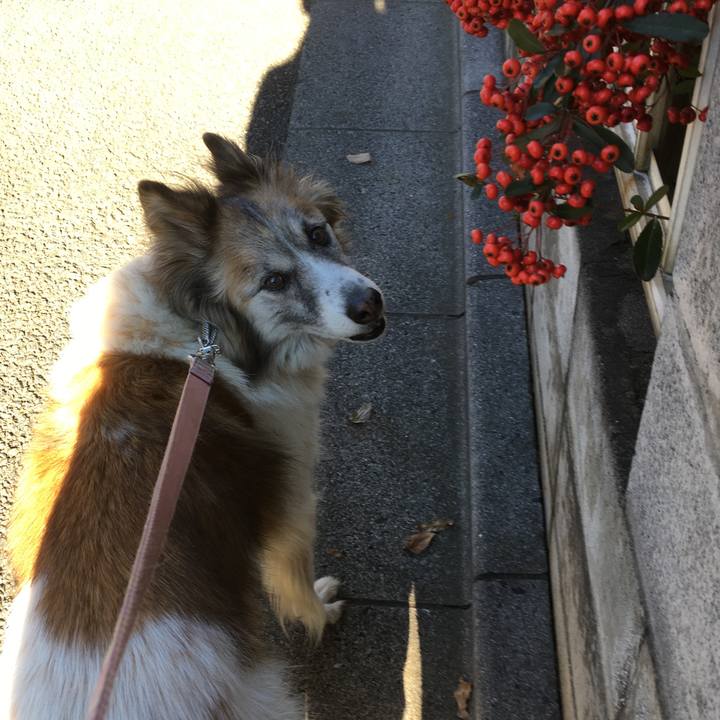 97e79c9e ba36 4de3 a3ef 1693f84498f6